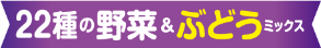 22種類の野菜＆ぶどうミックス