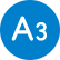 A3