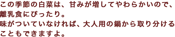 この季節の白菜は、甘みが増してやわらかいので、離乳食にぴったり。味がついていなければ、大人用の鍋から取り分けることもできますよ。